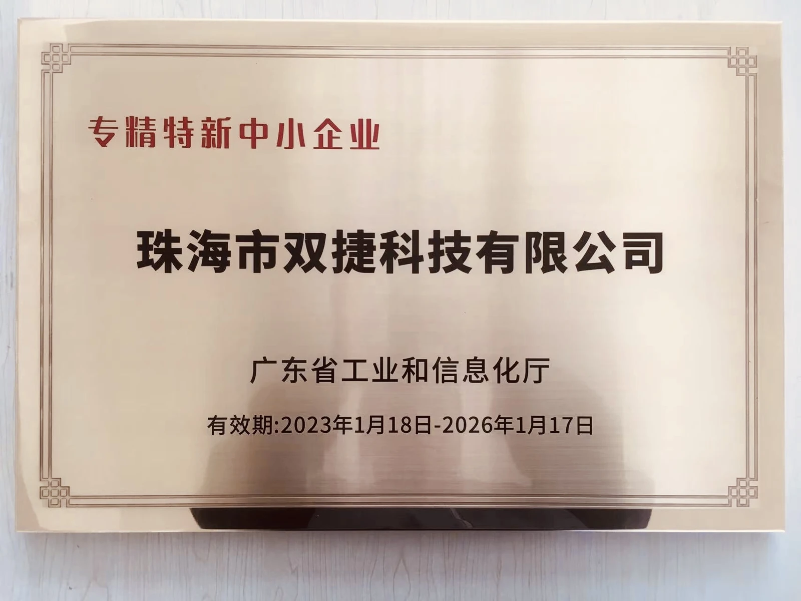广东省专精特新中小企业(2023)