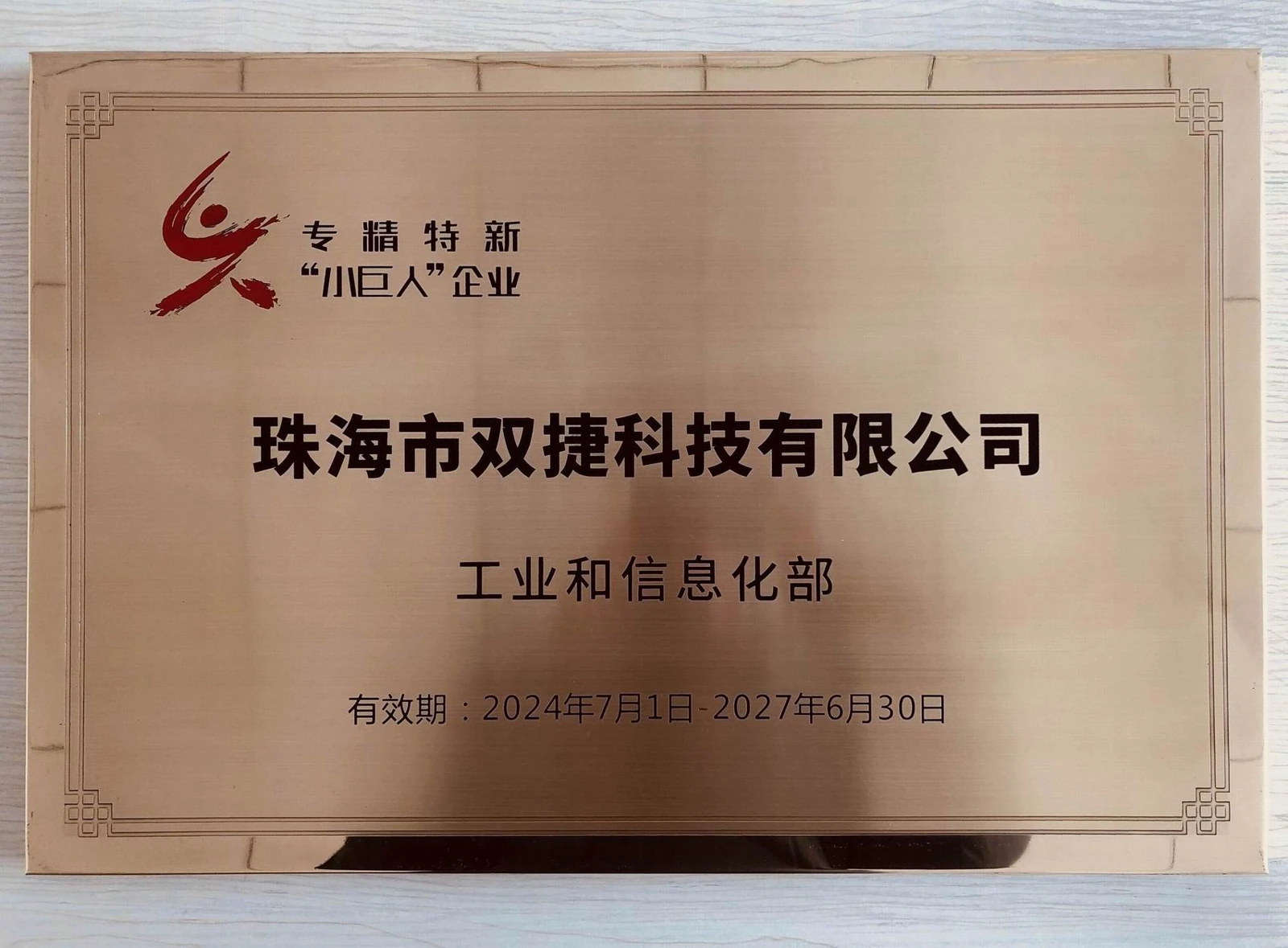 专精特新“小巨人”企业